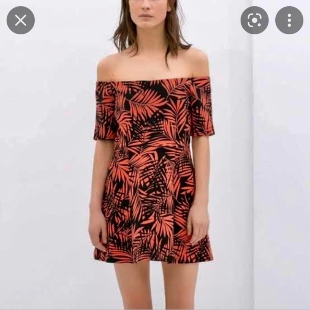 Zara dress